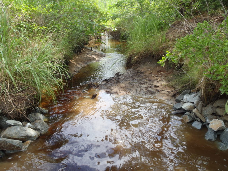 Mashpee Refuge Projects | Friends of Mashpee National Wildlife Refuge