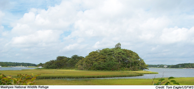 Mashpee-Wildlife-Refuge | Friends of Mashpee National Wildlife Refuge