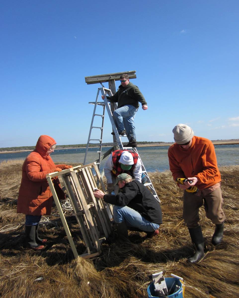 The Friends | Friends of Mashpee National Wildlife Refuge