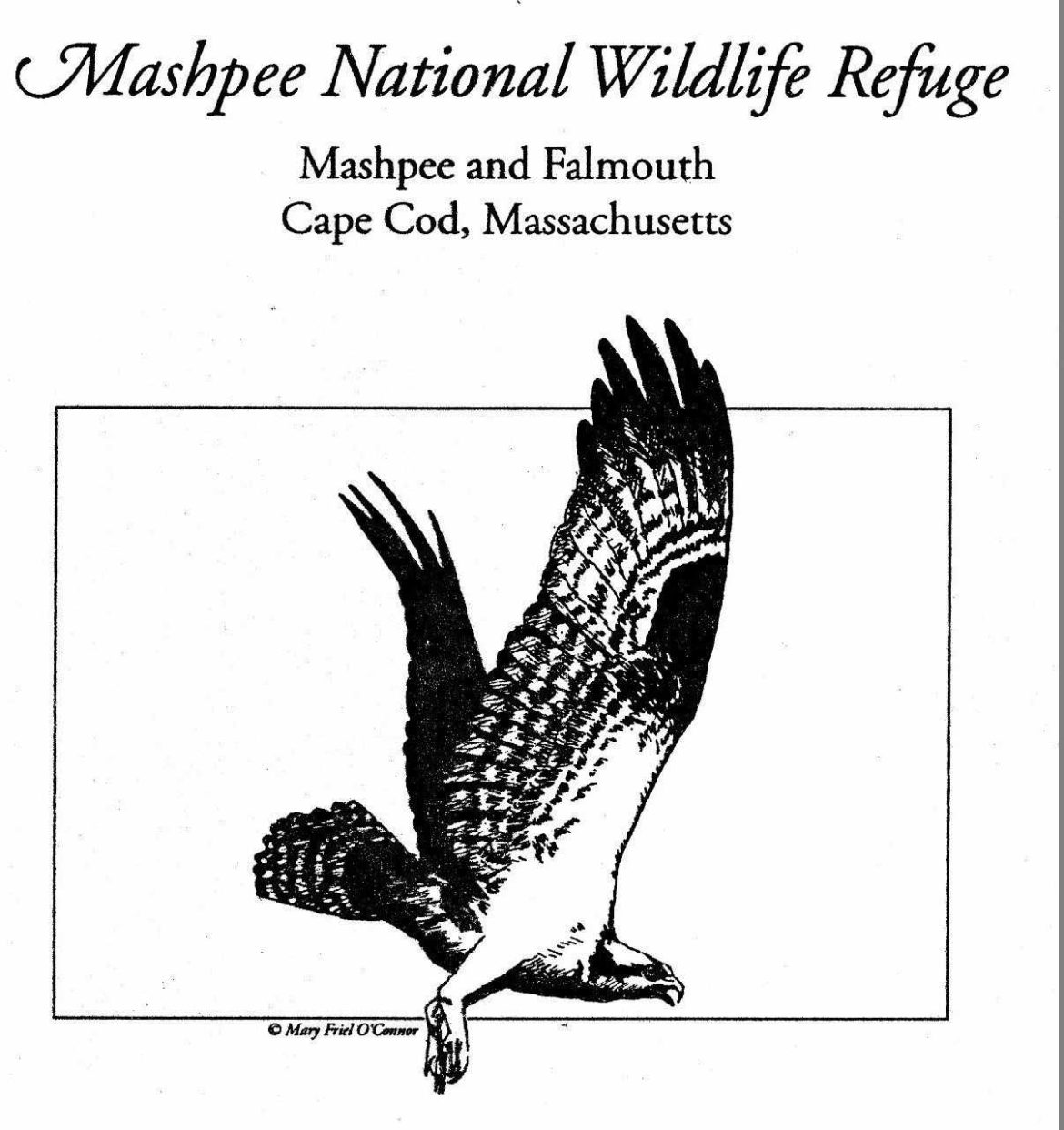 about-the-mashpee-refuge-friends-of-mashpee-national-wildlife-refuge