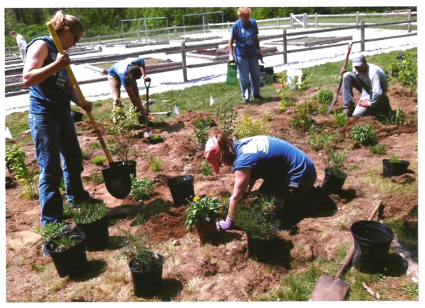 Planting at Mashpee Community Gardens | Friends of Mashpee National ...