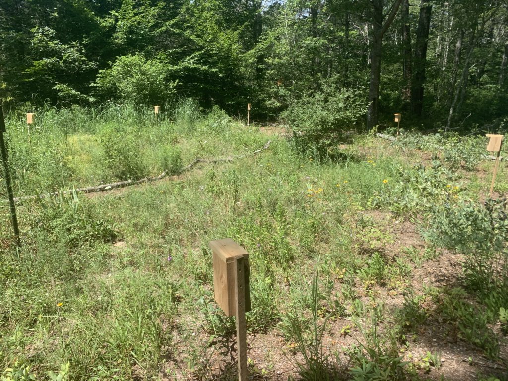 New Pollinator Boxes! | Friends of Mashpee National Wildlife Refuge