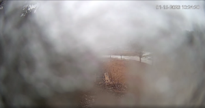 Snow on nest (and camera lens).png