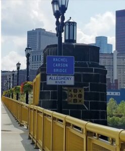 Rachel-Carson-Bridge-marries-historic-design-with-modern-engineering-Roads-and-Bridges